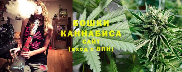 дурь Богородицк
