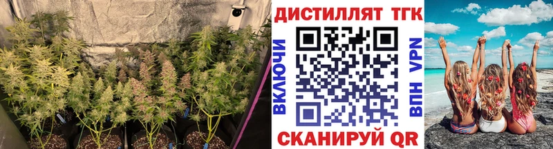 хочу наркоту  Приволжский  ТГК вейп 